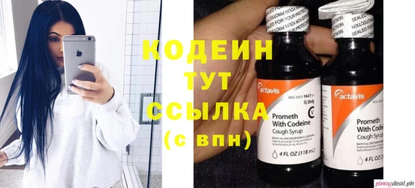 гидра Корсаков