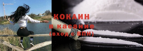 гидра Корсаков