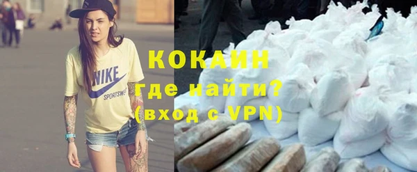гидра Корсаков