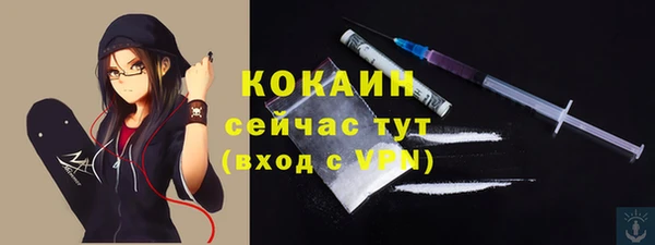 гидра Корсаков