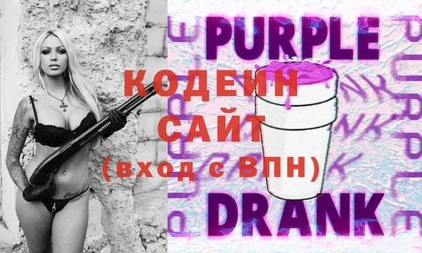 гидра Корсаков