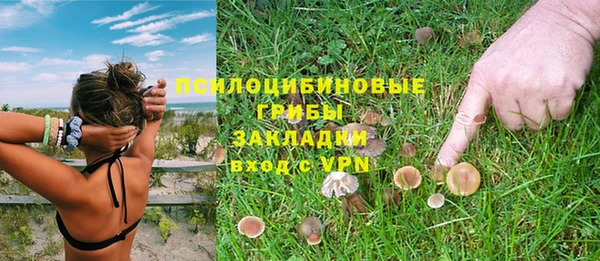 гидра Корсаков