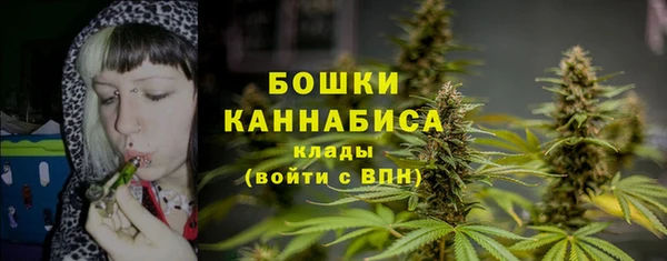 гидра Корсаков